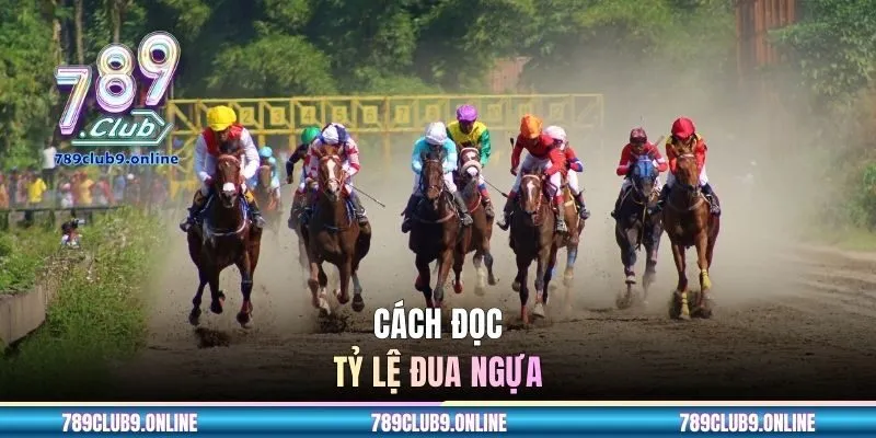 Cách đọc tỷ lệ đua ngựa